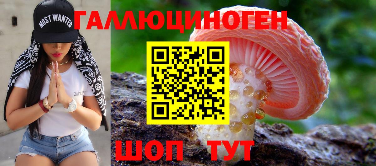 Галлюциногенные грибы GOLDEN TEACHER  Вход с VPN  Родники 